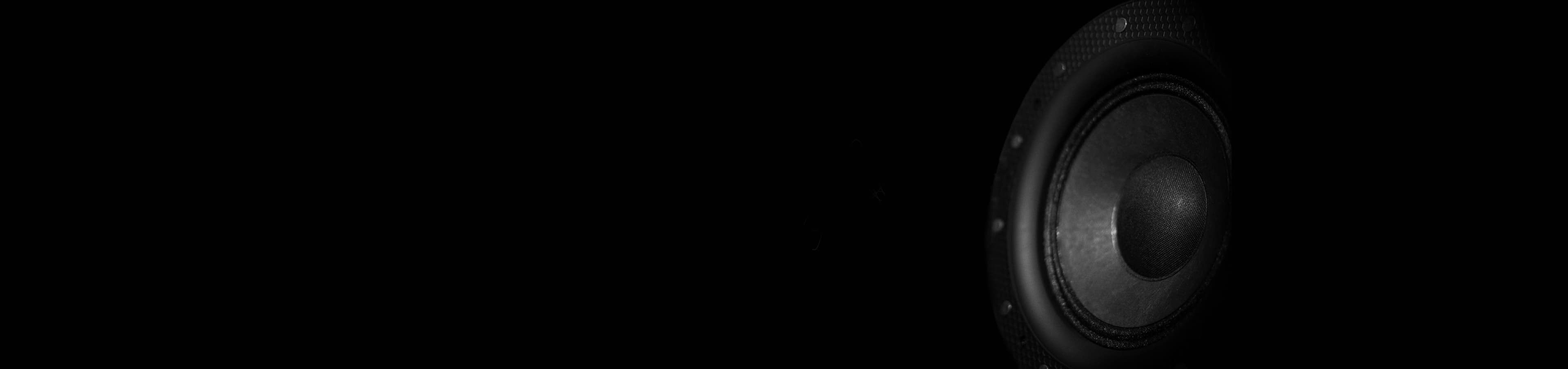 Premium speaker driver detail