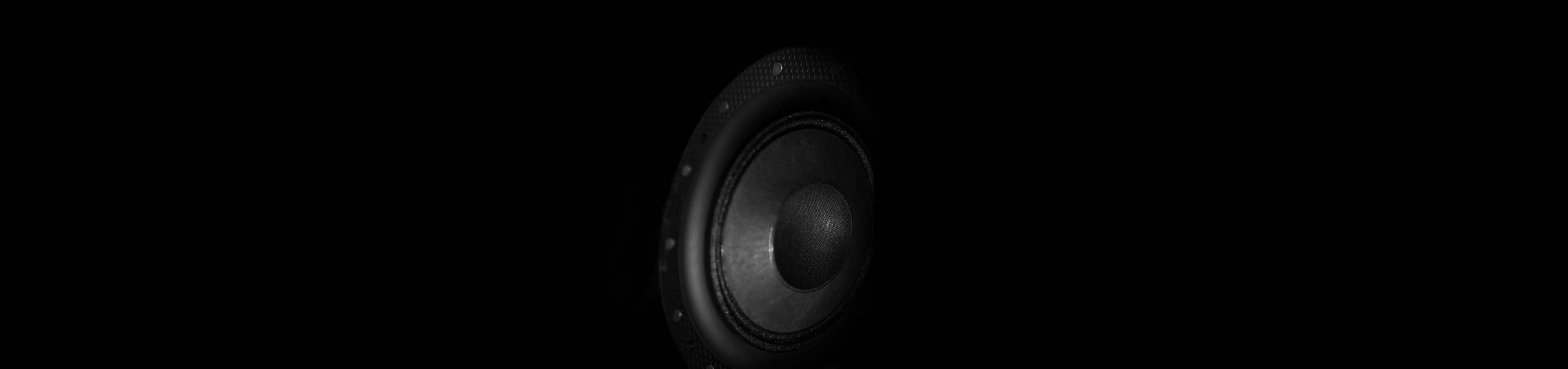 Premium speaker driver detail